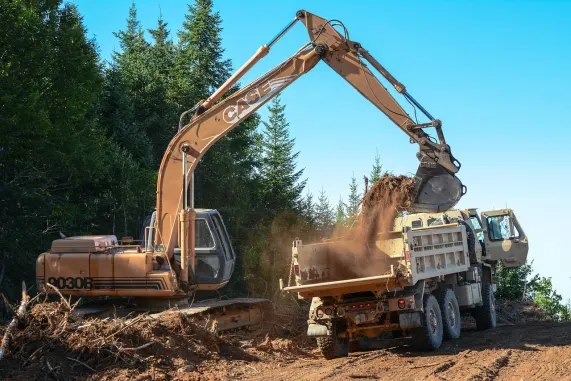 888ליידיס קזינו תמיכה